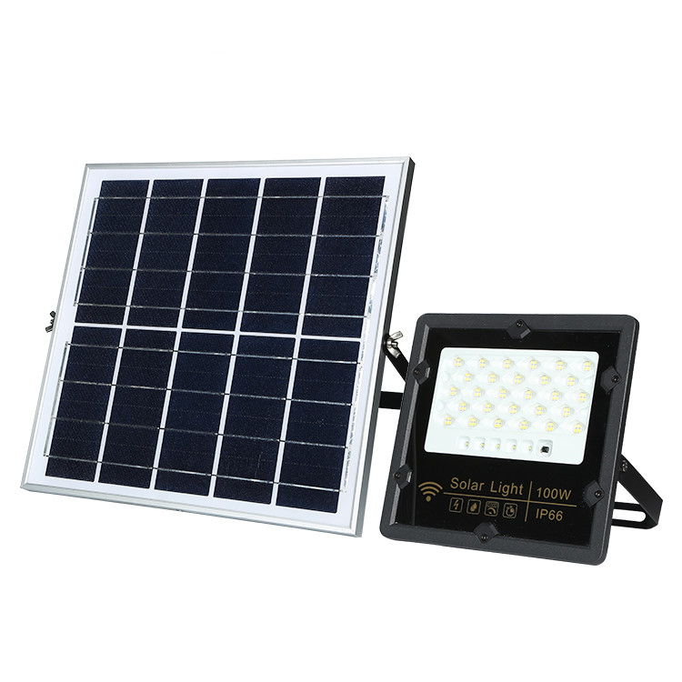 Solar Flood Light SFL-2